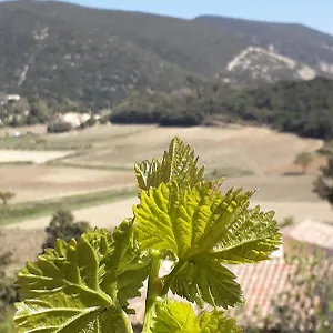  Appartement Eco Dans Les Vignes France